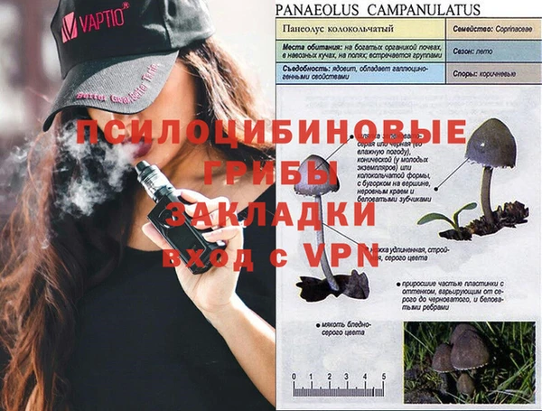 метамфетамин Алексеевка