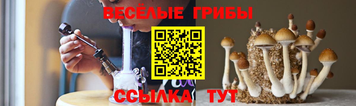 Псилоцибиновые грибы ЛСД Алушта